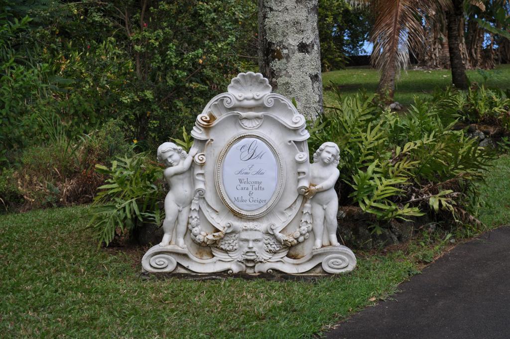 The Palms Cliff House Inn Honomu Exterior foto
